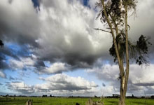 横滨FC迎战蔚山现代，谁能夺取胜利？