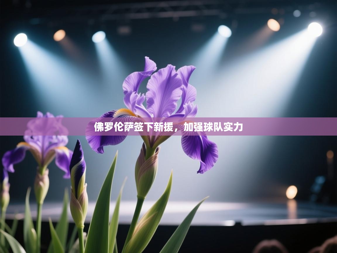 佛罗伦萨签下新援，加强球队实力  第2张