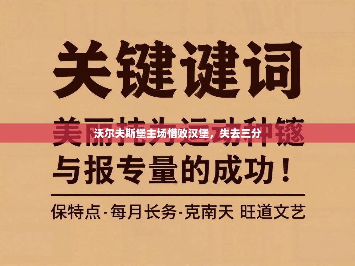 沃尔夫斯堡主场惜败汉堡，失去三分  第1张